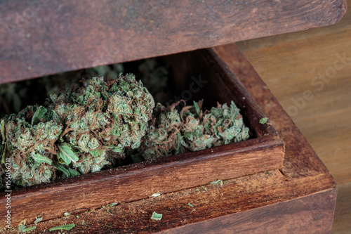 Marijuana stash. Ganja buds into half-open wooden box