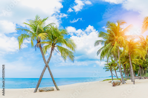 Amazing double coconut palm tree on beautiful tropical beach in blue sky background.