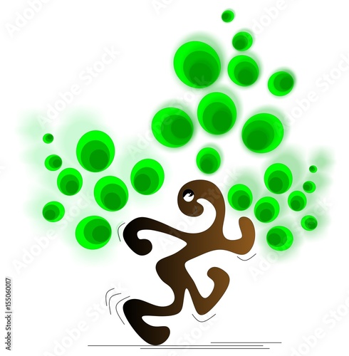 albero