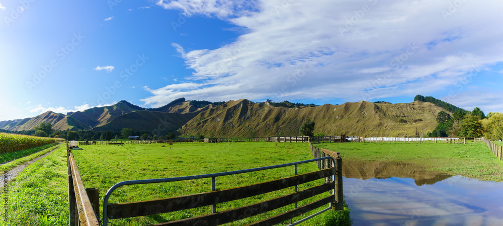 Panoramic image of countryside in Whanganui , North Island of New Zealand Panoramic image of countryside in Whanganui , North Island of New Zealand