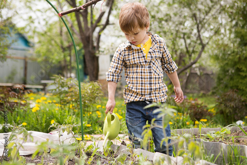 Cute little boy watering plants with watering can in the garden. Adorable little child helping parents to grow vegetables  outdoors.
