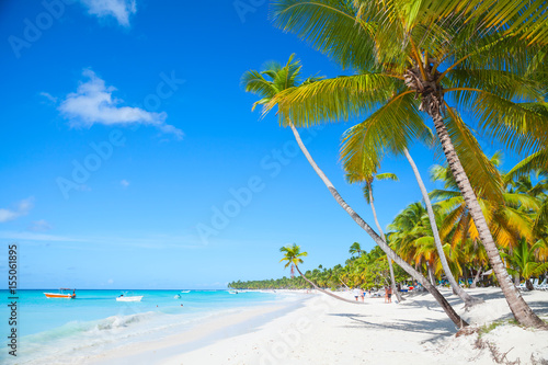 Beach landscape with coconut palms