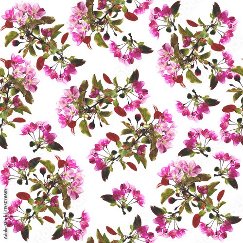 Floral seamless pattern - spring background