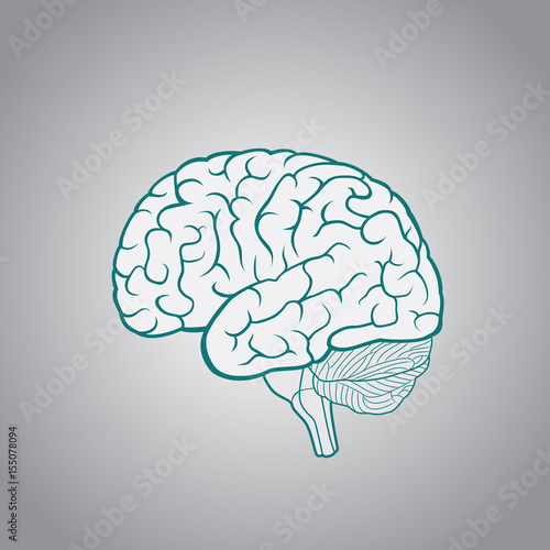 Schematic illustration of human brain on a light background