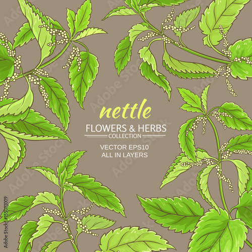 nettle vector frame