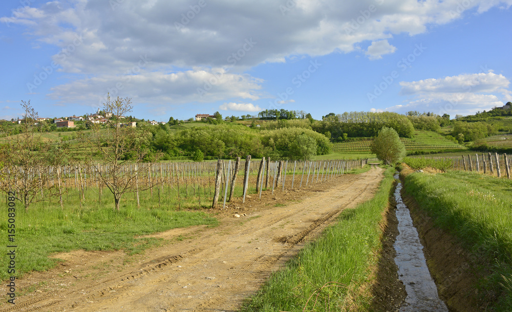 The late April rural landscape around the western Slovenian town of Dobrovo.
