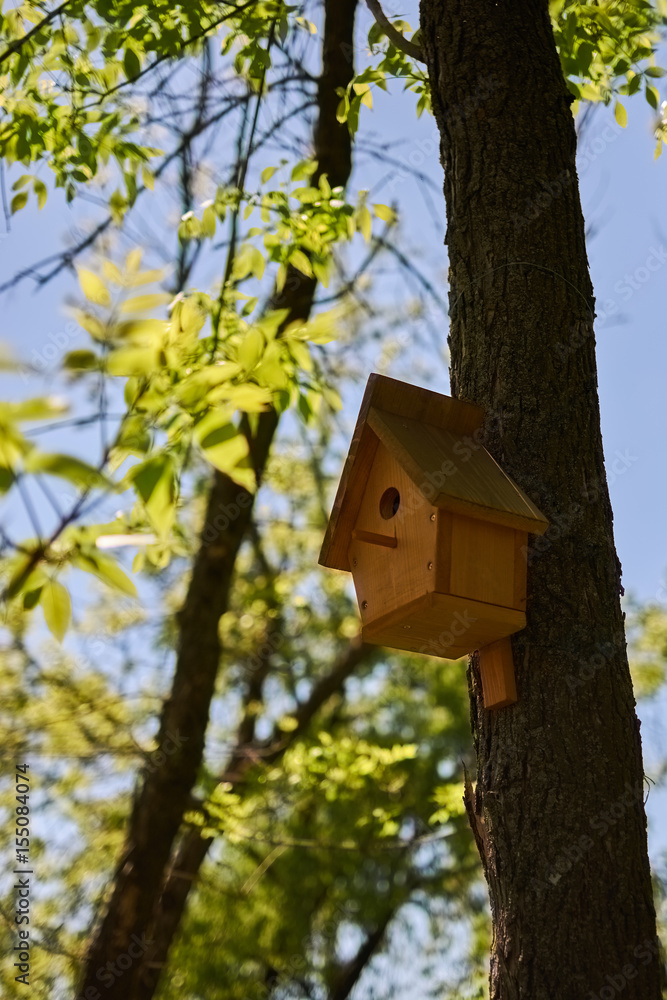 Handmade wooden birdhouse on the tree in park Handmade wooden birdhouse on the tree in park