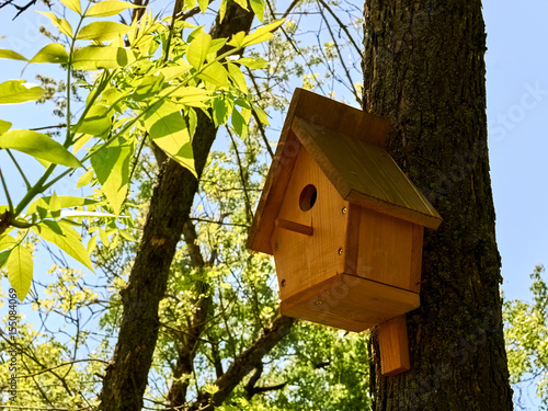 Unpainted birdhouse made of pine wood