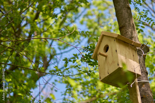 wooden birdhouse hanging from tree with foliage blurred in background