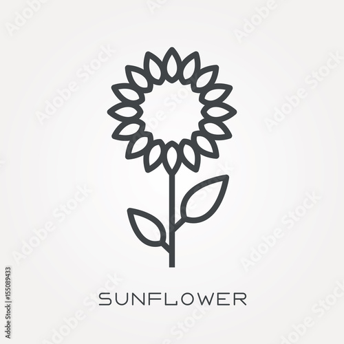 Line icon sunflower