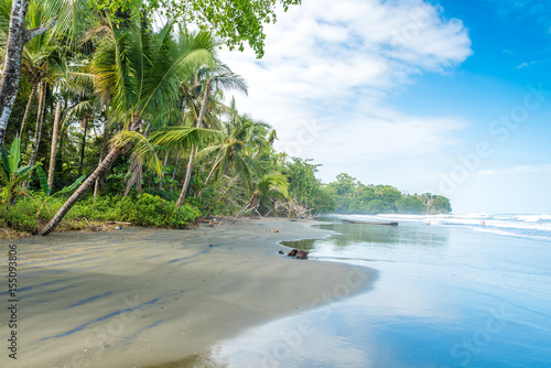 Fototapeta Naklejka Na Ścianę i Meble -  Playa Negra - black beach at Cahuita, Limon - Costa Rica - tropical and paradise beaches at caribbean coast