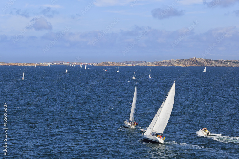 Fototapeta premium Sailboats on the sea