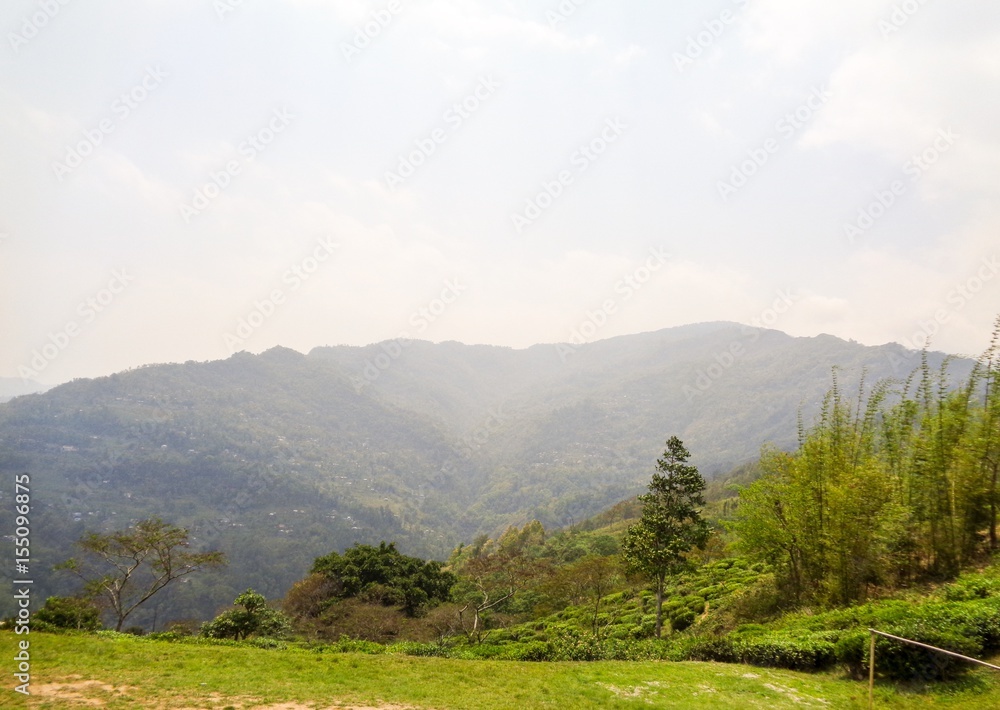 The Himalayas