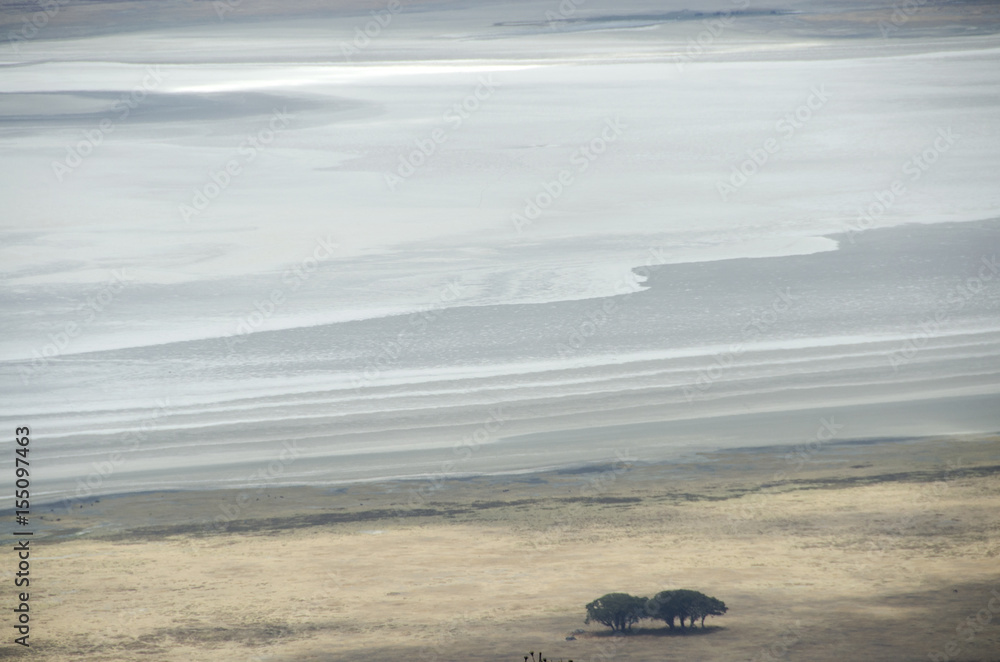 Tanzania, Ngorongoro cratere