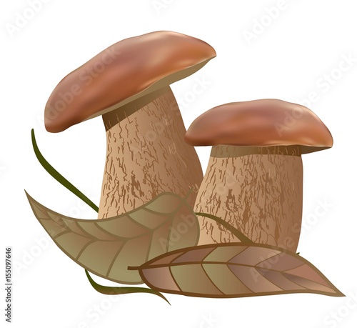 mushrooms