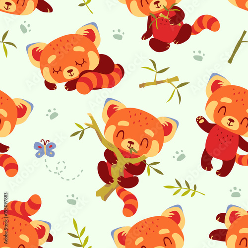 Fototapeta Naklejka Na Ścianę i Meble -  vector cartoon red panda set