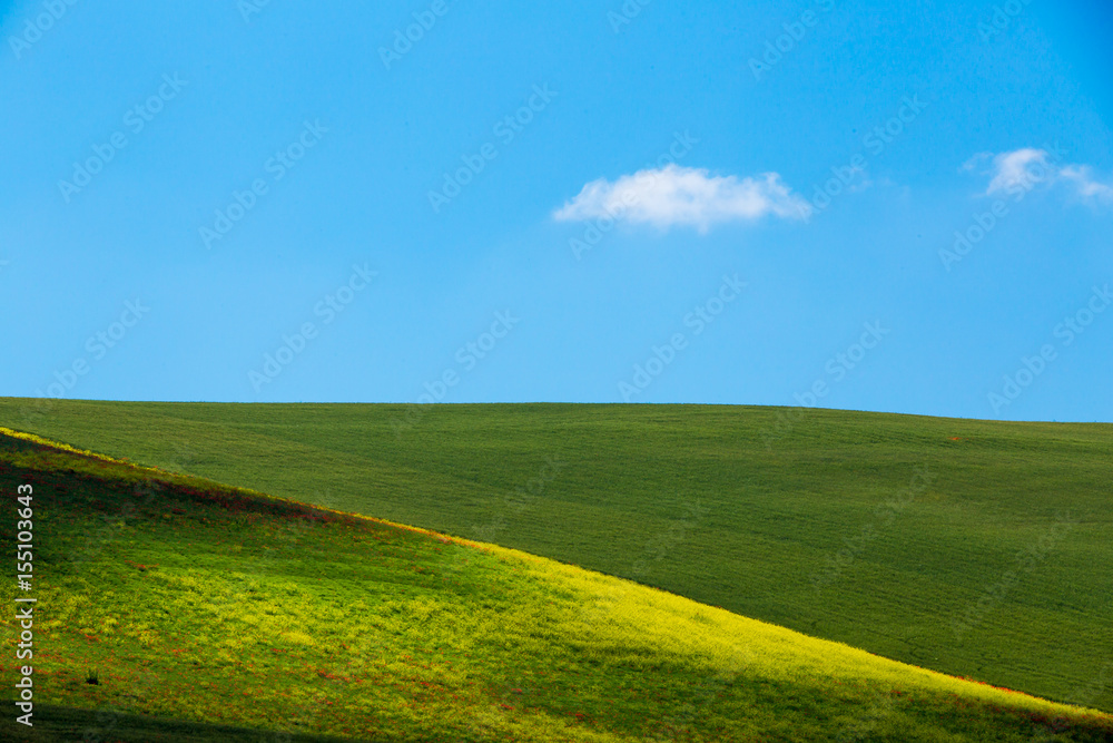 Obraz premium typical springtime basilicata landscape