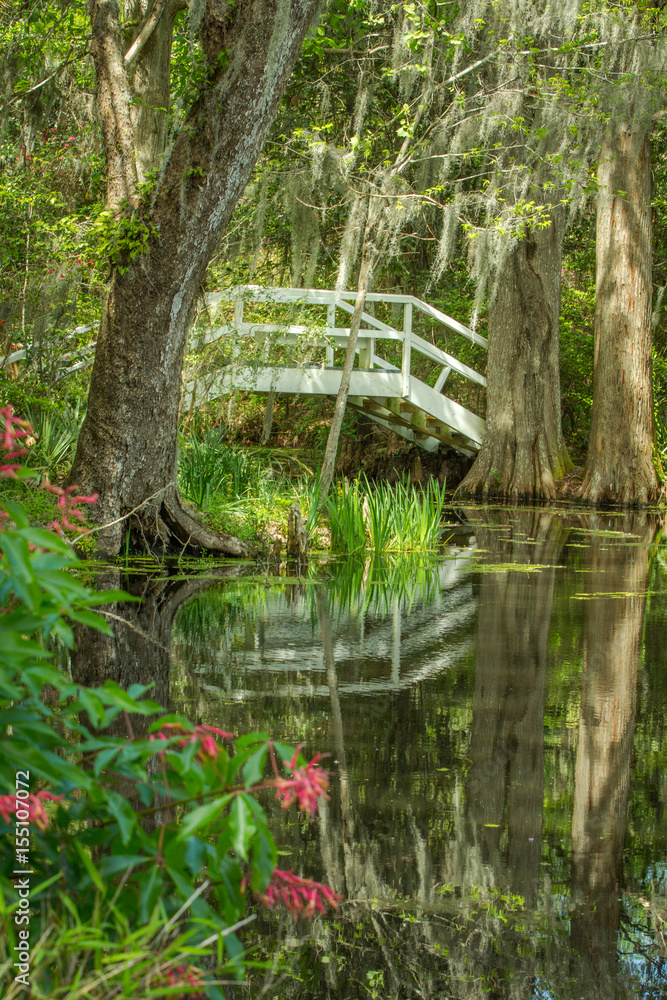 Southern garden with bridge and oak trees Southern garden with bridge and oak trees