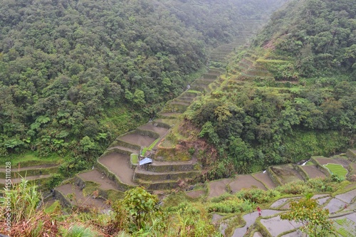 Banaue Rice Terraces