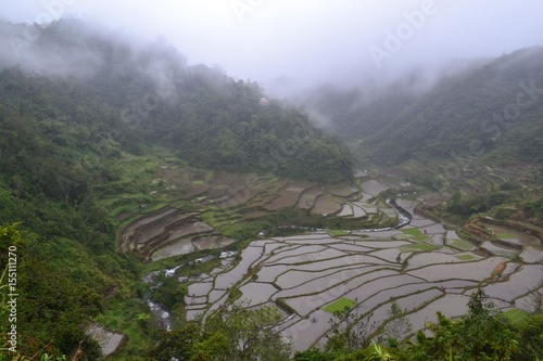 Banaue Rice Terraces