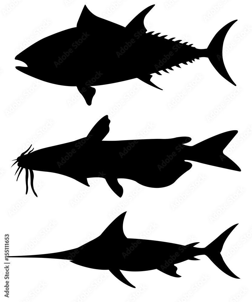 Obraz premium Set of different big fish silhouettes isolated on white