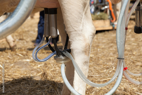 Fotografi milking machine