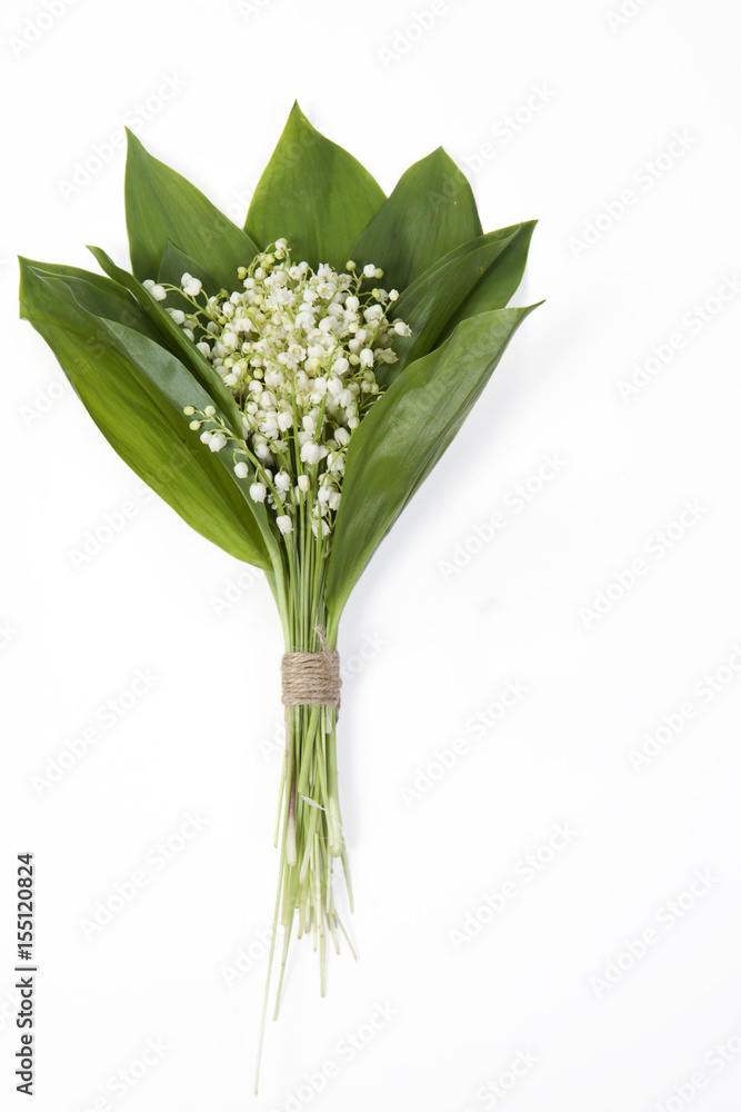 the Lilly of the valley flowers and leaves bouquet isolated on a white background. Selective focus
