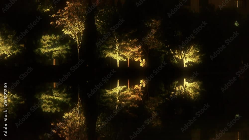 Woods reflection in calm water of lake.Such as mirror at dark evening night. Woods reflection in calm water of lake.Such as mirror at dark evening night.