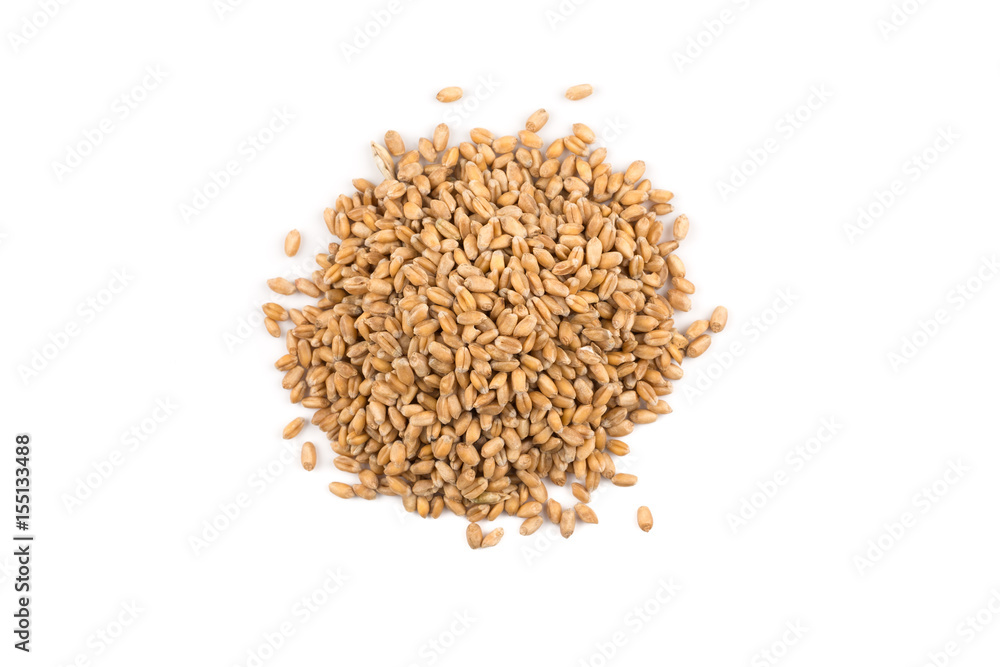 Wheat grain on white Wheat grain on white