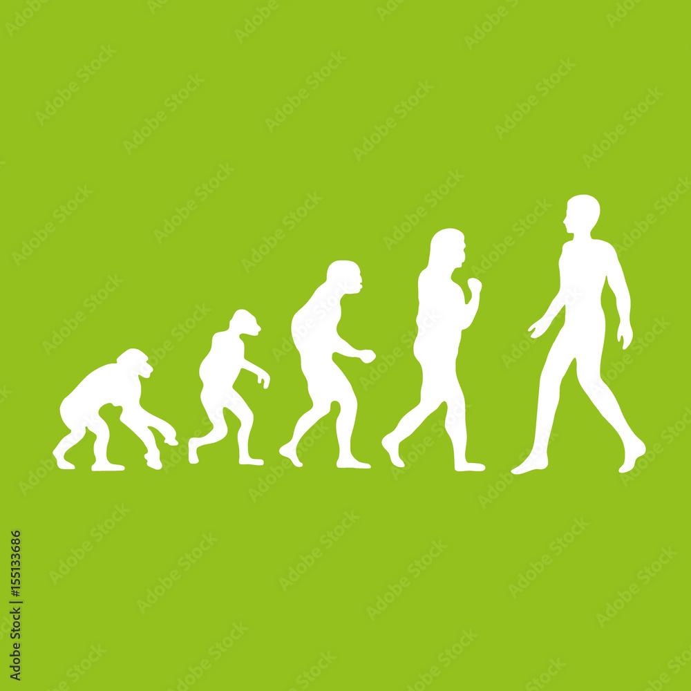Darwin evolution of human Darwin evolution of human