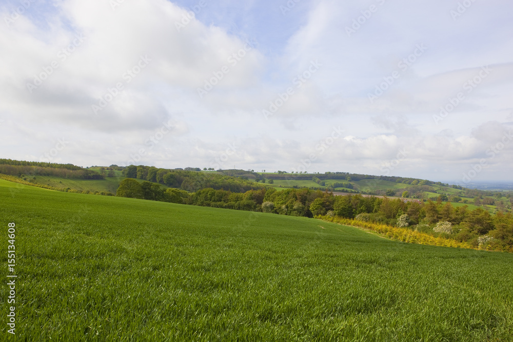 scenic yorkshire wolds landscape scenic yorkshire wolds landscape