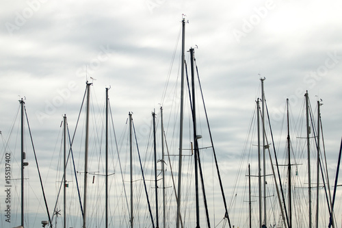 Several Marina sailboats