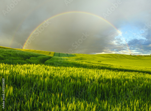 Rainbow over a green field in a spring evening