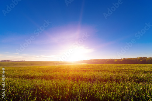 Green Field and Beautiful Sunset