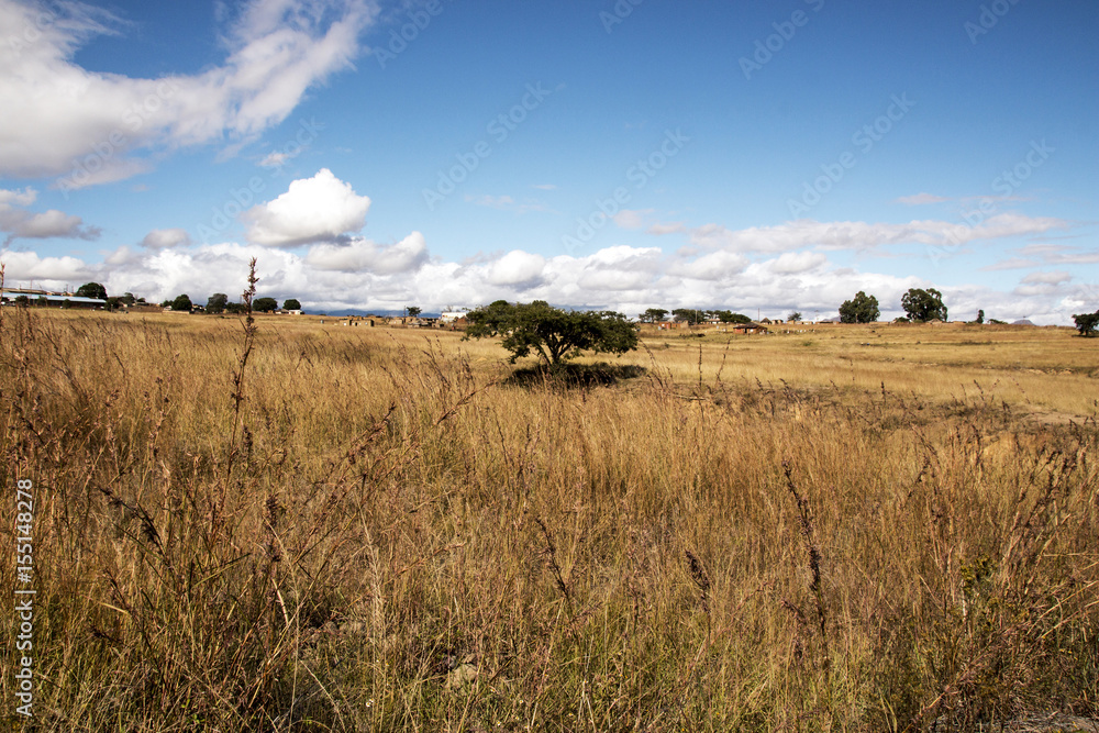 Fototapeta premium Golden Cold Dry Winter Landscape and Rocky Mountain