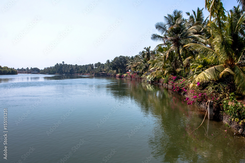 Fototapeta premium indian river with palm trees