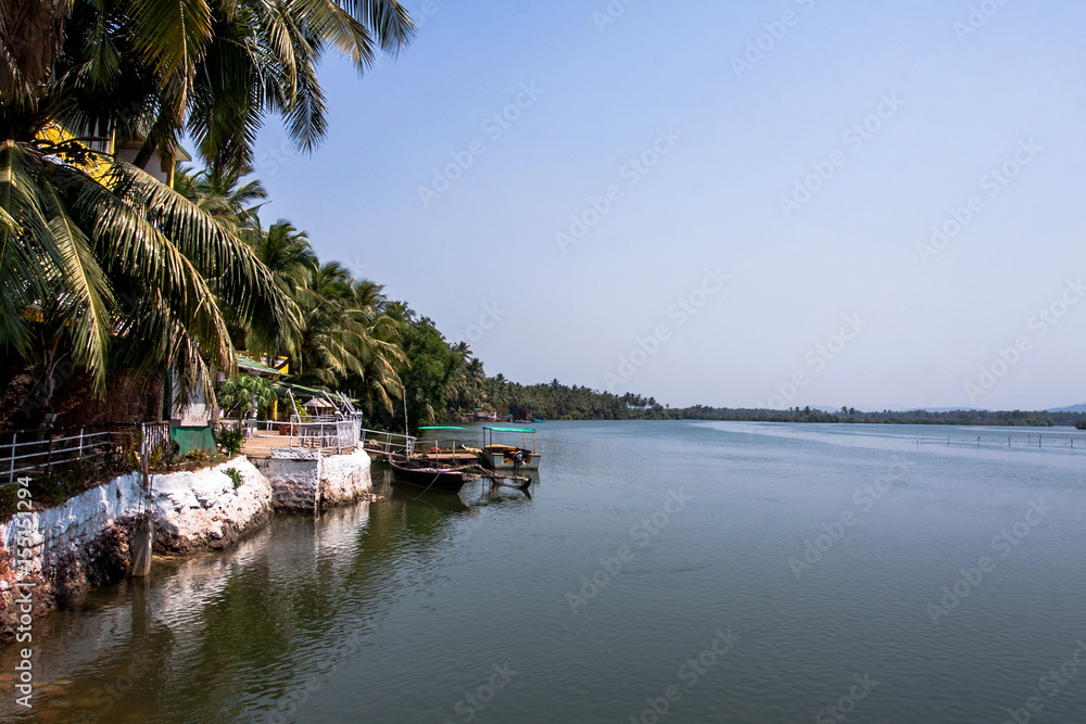 Fototapeta premium indian river with palm trees