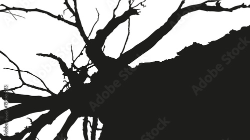 abstract black texture On White Background