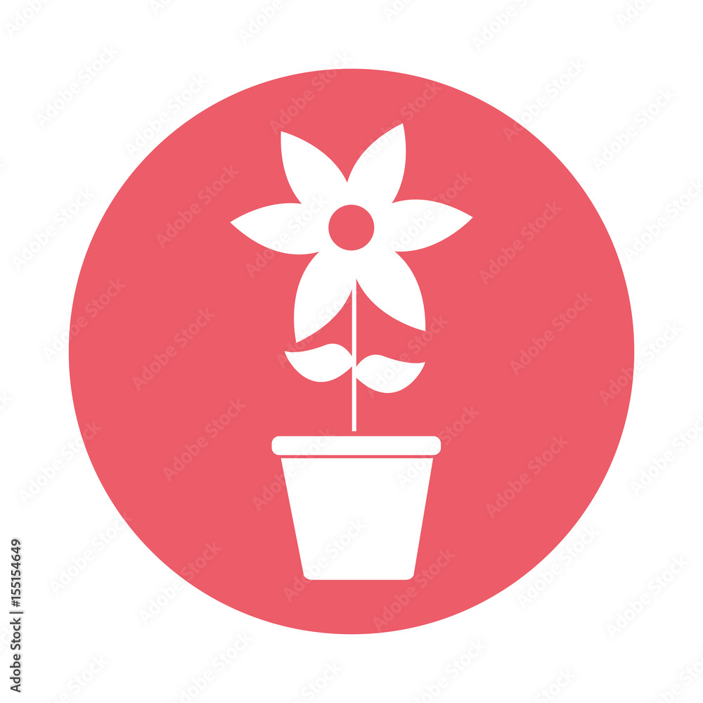 cute flower garden with pot isolated icon vector illustration design cute flower garden with pot isolated icon vector illustration design