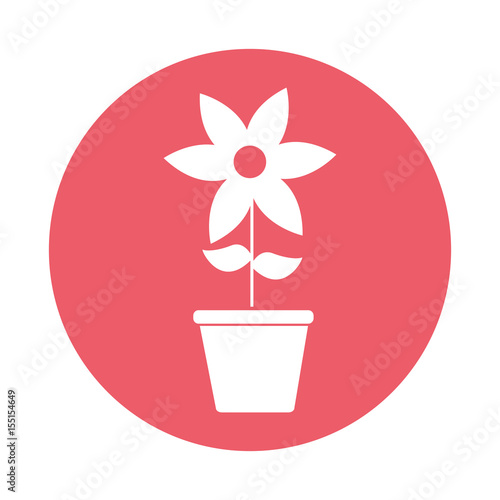 cute flower garden with pot isolated icon vector illustration design