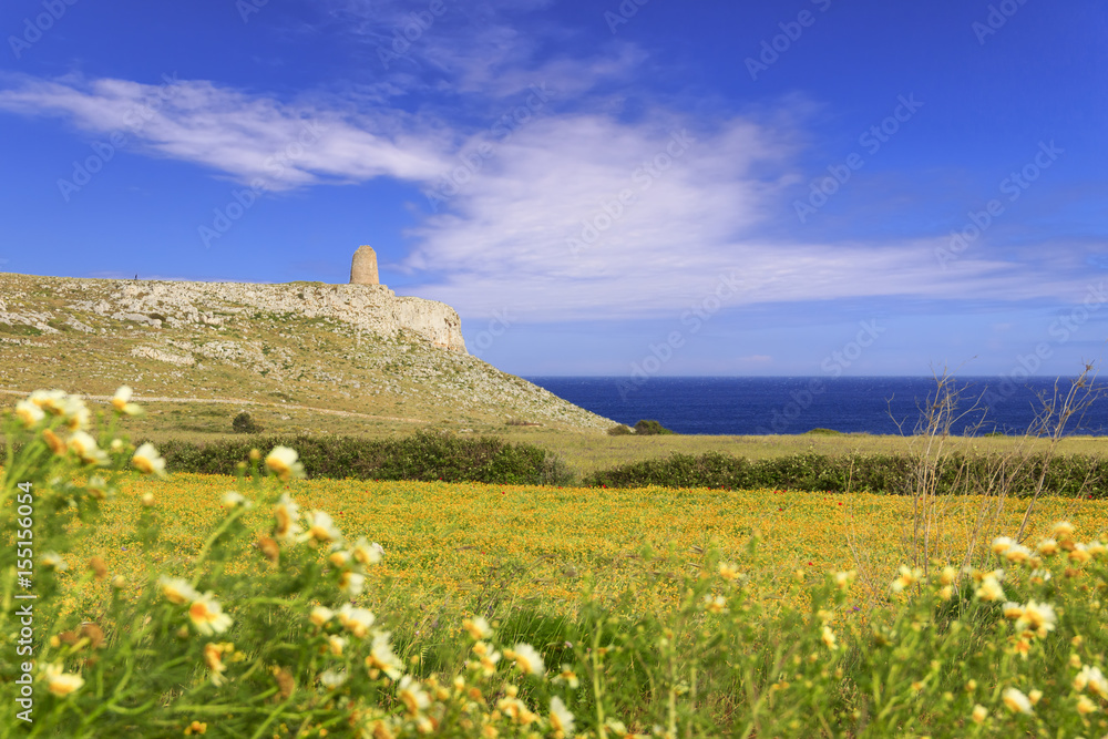 The most beautiful landscape of Italy: Salento, Apulia. Springtime: field of wildflowers; in the background Sant''Emiliano tower located in The Otranto Santa Maria di Leuca Coast and Tricase Woods 