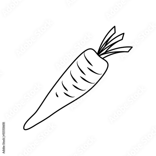 Delicious and fresh carrot icon vector illustration graphic design