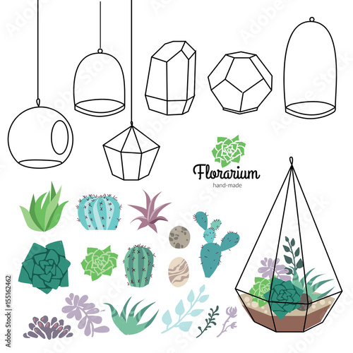 Vector glass terrariums with beautiful succulents set