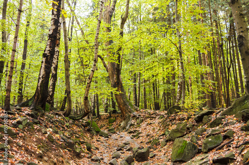 Fototapeta Naklejka Na Ścianę i Meble -  Kamienista trasa pod górę