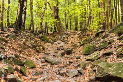 Fototapeta Naklejka Na Ścianę i Meble -  Kamienista trasa pod górę