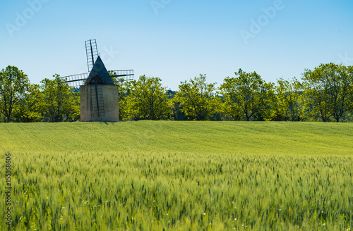 Champ de céréales au printemps et moulin à vent en Provence, France.