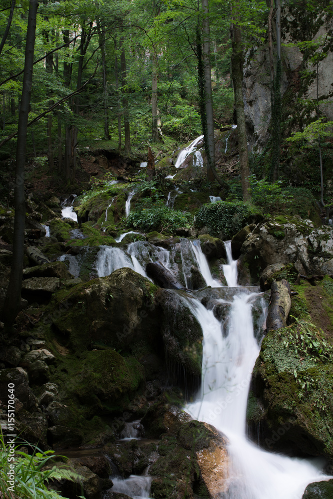 The sound of nature The sound of nature