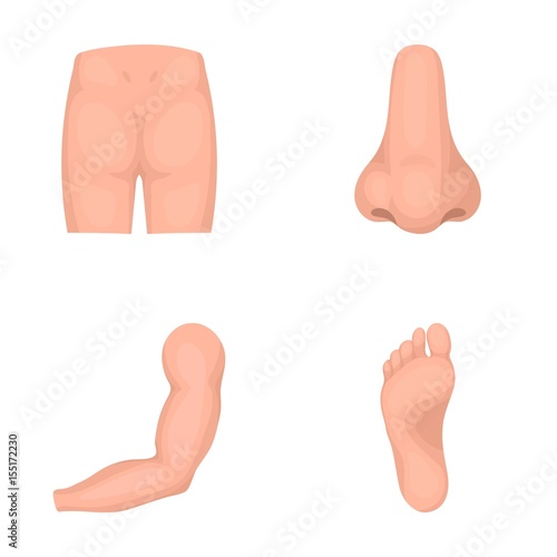 Buttocks, nose, arm, foot. Part of the body set collection icons in cartoon style vector symbol stock illustration web.