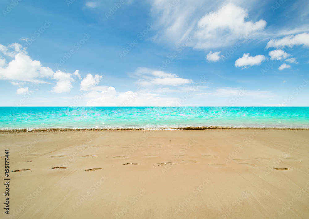 Obraz premium Tropical beach and sea