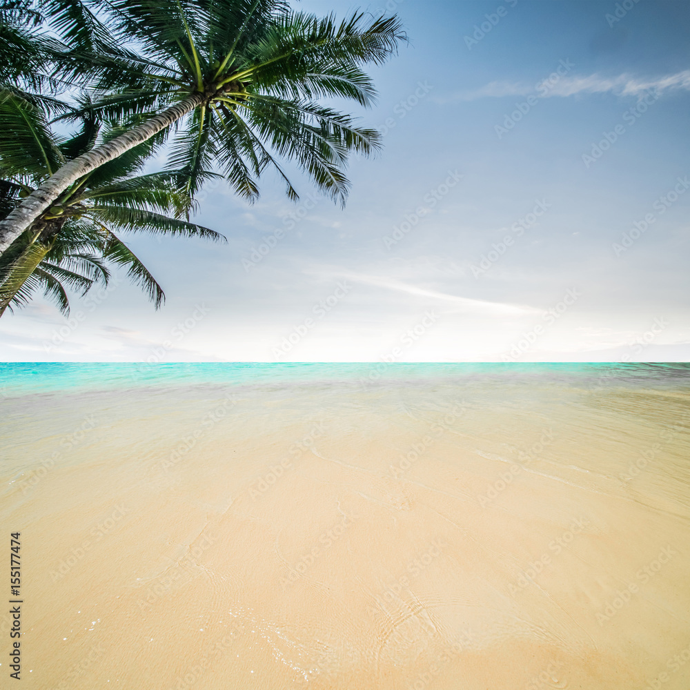 Tropical beach and sea